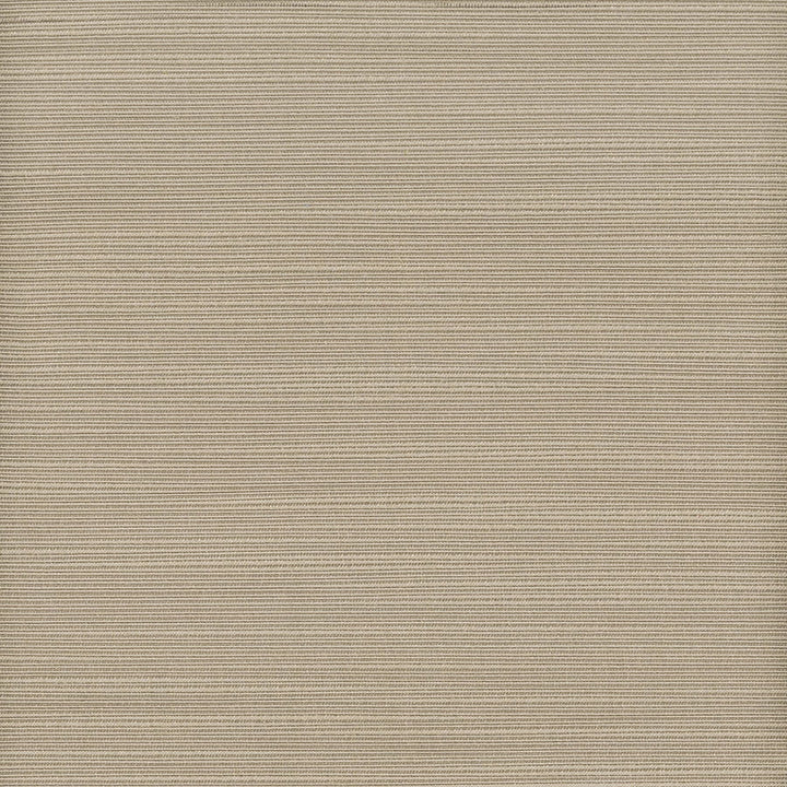 Admire 26 Shadow by Stout Fabric Stout Fabric Admire 26 ShadowFabric Satin Splendor 100%Pol India </p><p>Repeat: H: 0, V: 15.5 55 in - Fabric Carolina -