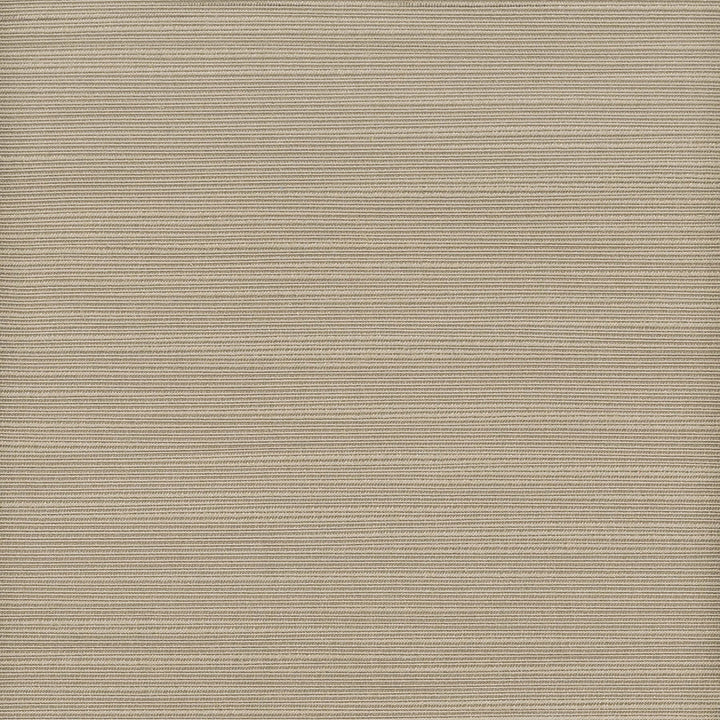 Admire 26 Shadow by Stout Fabric Stout Fabric Admire 26 ShadowFabric SATIN SPLENDOR INDIA </p><p>Repeat: H: 0.000, V: 0.000 55 in - Fabric Carolina -