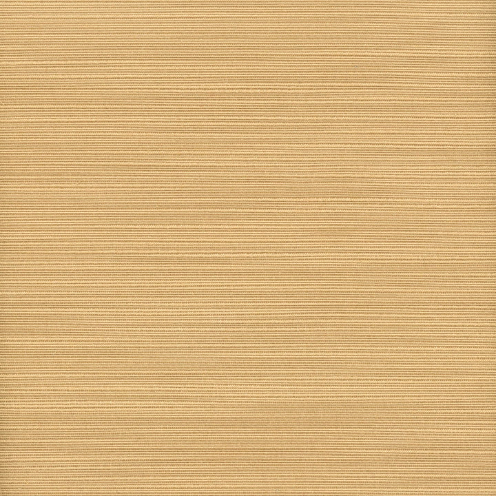 Admire 27 Lion by Stout Fabric Stout Fabric Admire 27 LionFabric SATIN SPLENDOR INDIA </p><p>Repeat: H: 0.000, V: 0.000 55 in - Fabric Carolina -