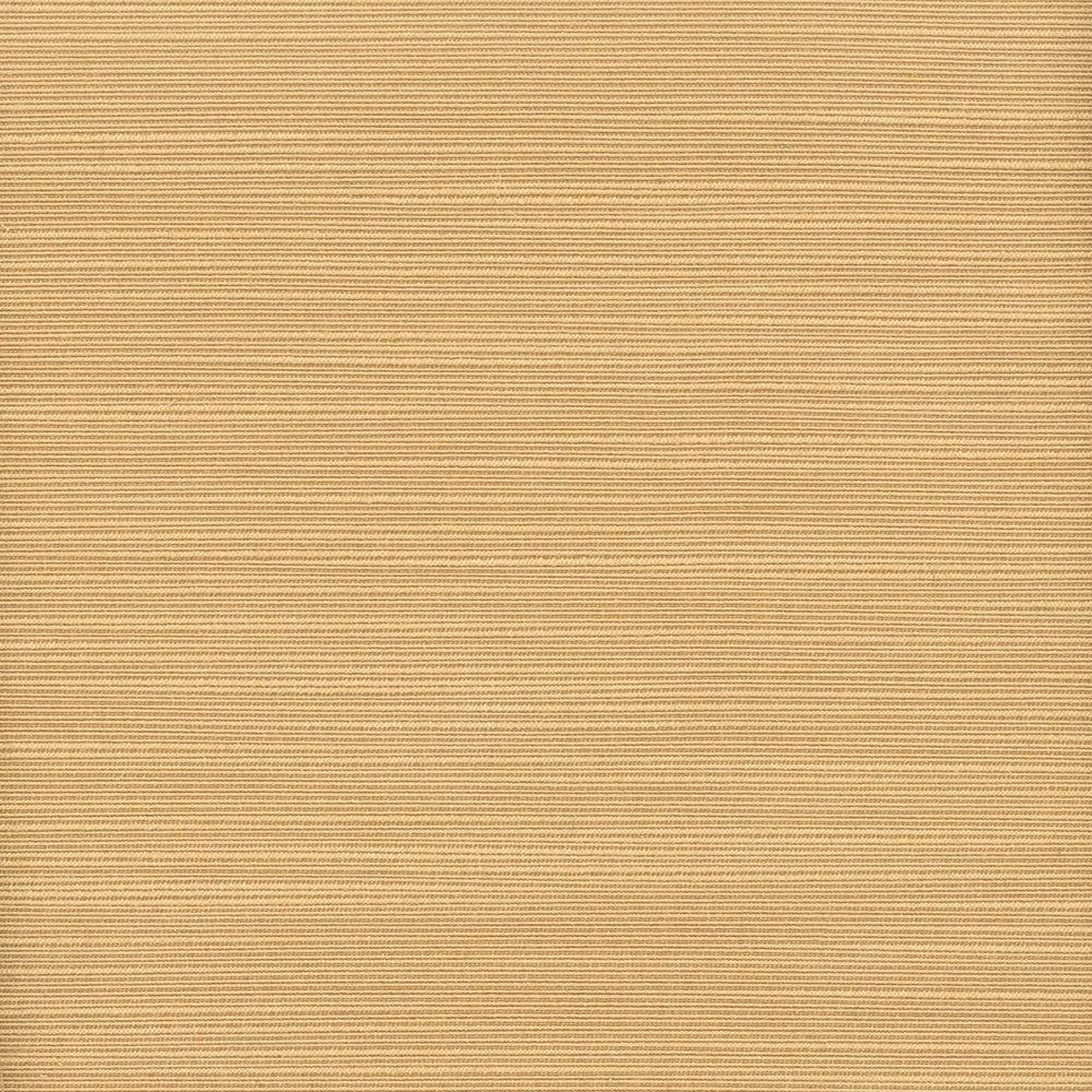 Admire 27 Lion by Stout Fabric SATIN SPLENDOR 100%POL INDIA FLAME RETARDANT-U.F.A.C. CLASS 1 CATB 117-2013 WYZENBEEK 75 000 DOUBLE RUB WEAR TEST (HEAVY DUTY) Horizontal: 0.000 and Vertical: 0.000 55 in - Fabric Carolina -
