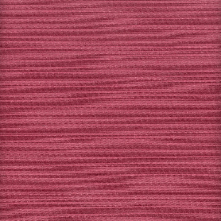 Admire 33 Beet by Stout Fabric Stout Fabric Admire 33 BeetFabric SATIN SPLENDOR INDIA </p><p>Repeat: H: 0.000, V: 0.000 55 in - Fabric Carolina -