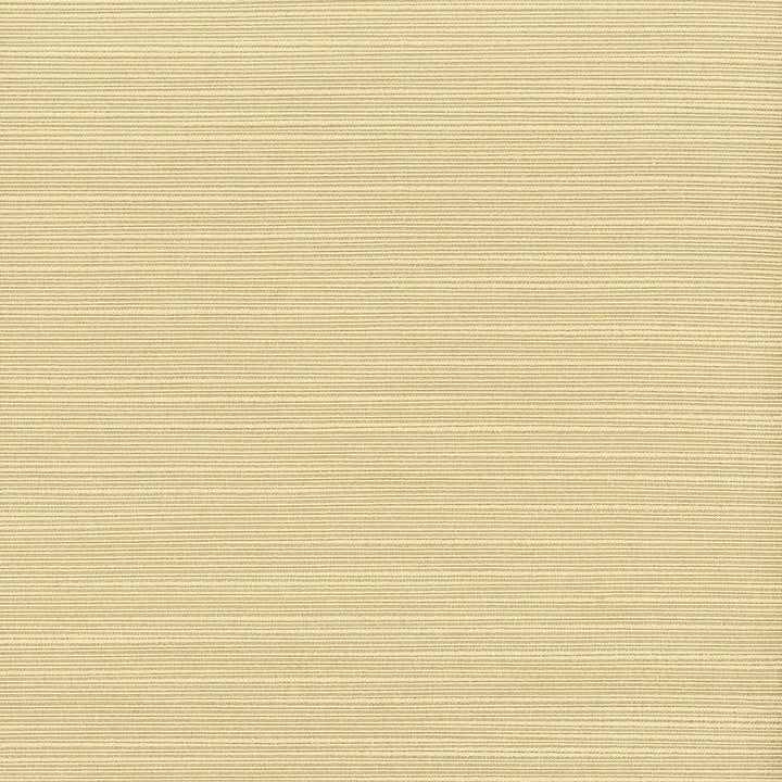 Admire 35 Chardonnay by Stout Fabric Stout Fabric Admire 35 ChardonnayFabric SATIN SPLENDOR 100%POL INDIA </p><p>Repeat: H: 0.000, V: 0.000 55 in - Fabric Carolina -