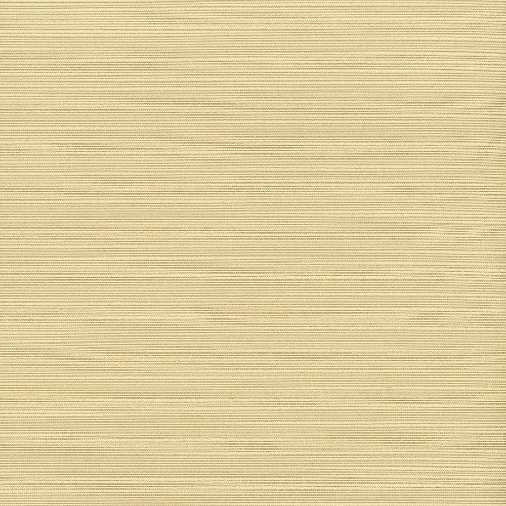 Admire 35 Chardonnay by Stout Fabric SATIN SPLENDOR 100%POL INDIA FLAME RETARDANT-N.F.P.A. 701 SMALL SCALE Horizontal: 0.000 and Vertical: 0.000 55 in - Fabric Carolina -