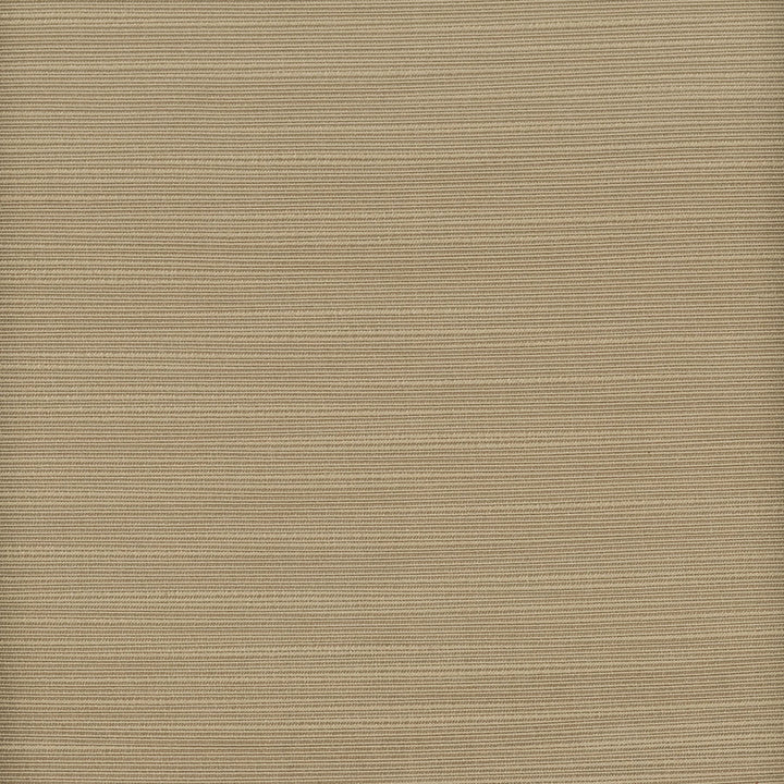 Admire 39 Truffle by Stout Fabric SATIN SPLENDOR 100%POL INDIA FLAME RETARDANT-N.F.P.A. 701 SMALL SCALE MARTINDALE WEAR TEST (15 000 CIRCULAR RUBS) Horizontal: 0 and Vertical: 0 55 in - Fabric Carolina -