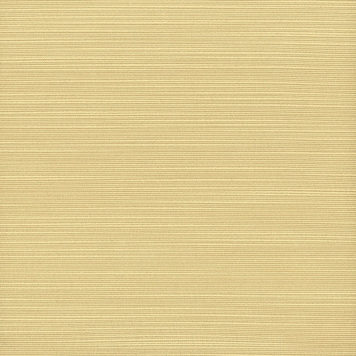 Admire 3 Chamomile by Stout Fabric Stout Fabric Admire 3 ChamomileFabric SATIN SPLENDOR 100%POL INDIA </p><p>Repeat: H: 0.000, V: 0.000 55 in - Fabric Carolina -