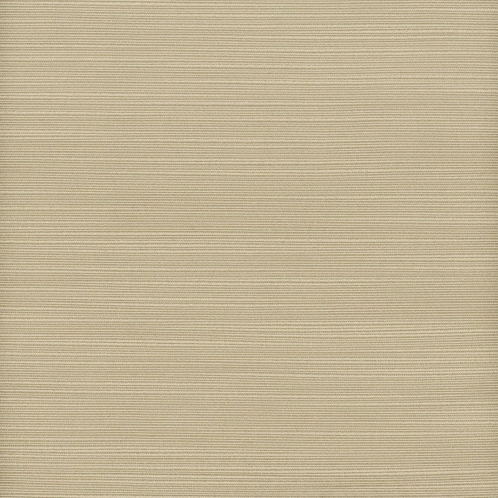 Admire 41 Driftwood by Stout Designer Fabric Satin Splendor 100% Polyester INDIA FLAME RETARDANT-N.F.P.A. 701 SMALL SCALE MARTINDALE WEAR TEST (15 000 CIRCULAR RUBS) Horizontal: 0 and Vertical: 0 55 in - Swanky Fabrics -
