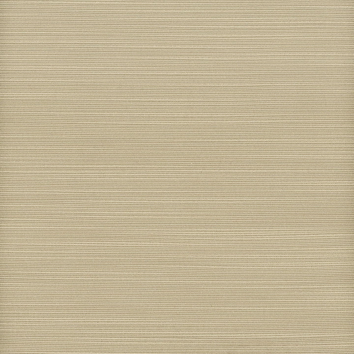 Admire 41 Driftwood by Stout Fabric Satin Splendor 100% Polyester INDIA FLAME RETARDANT-N.F.P.A. 701 SMALL SCALE MARTINDALE WEAR TEST (15 000 CIRCULAR RUBS) Horizontal: 0 and Vertical: 0 55 in - Fabric Carolina -