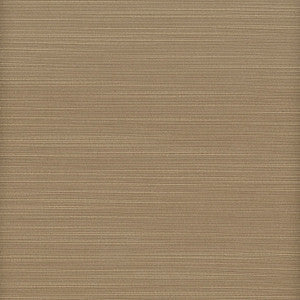 Admire 43 Cappuccino by Stout Fabric