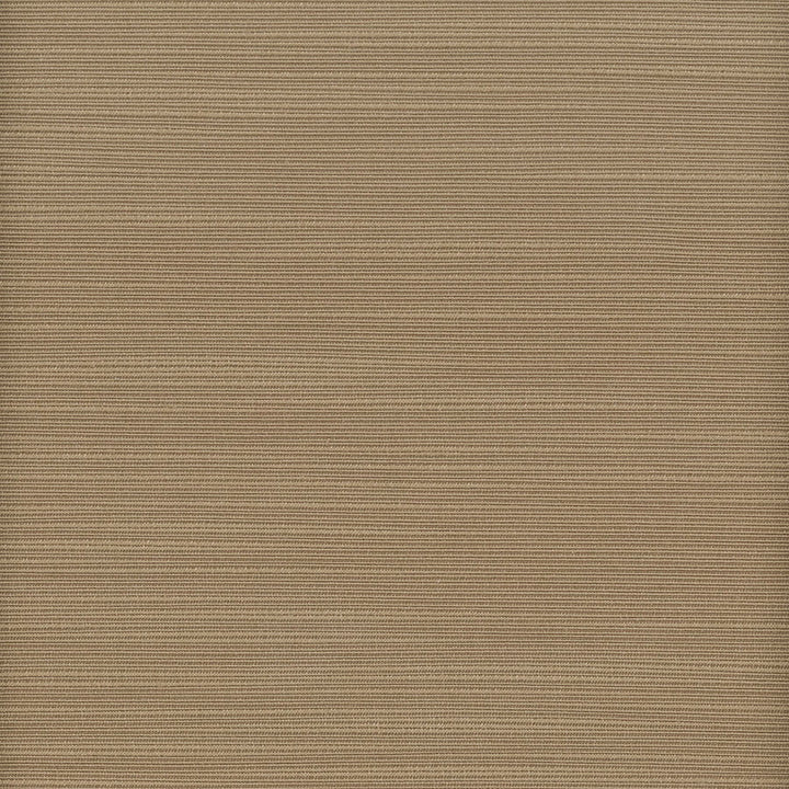 Admire 43 Cappuccino by Stout Fabric Satin Splendor 100% Polyester INDIA FLAME RETARDANT-N.F.P.A. 701 SMALL SCALE MARTINDALE WEAR TEST (15 000 CIRCULAR RUBS) Horizontal: 0 and Vertical: 0 55 in - Fabric Carolina -