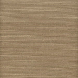 Admire 43 Cappuccino by Stout Fabric
