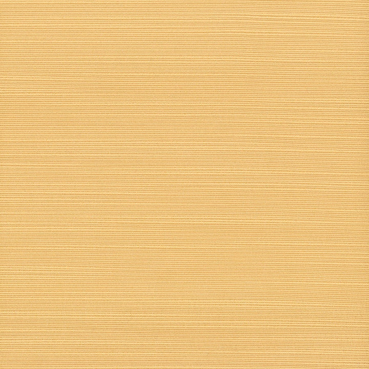 Admire 44 Butterscotch by Stout Fabric SATIN SPLENDOR 100%POL INDIA Horizontal: 0.000 and Vertical: 0.000 55 in - Fabric Carolina -