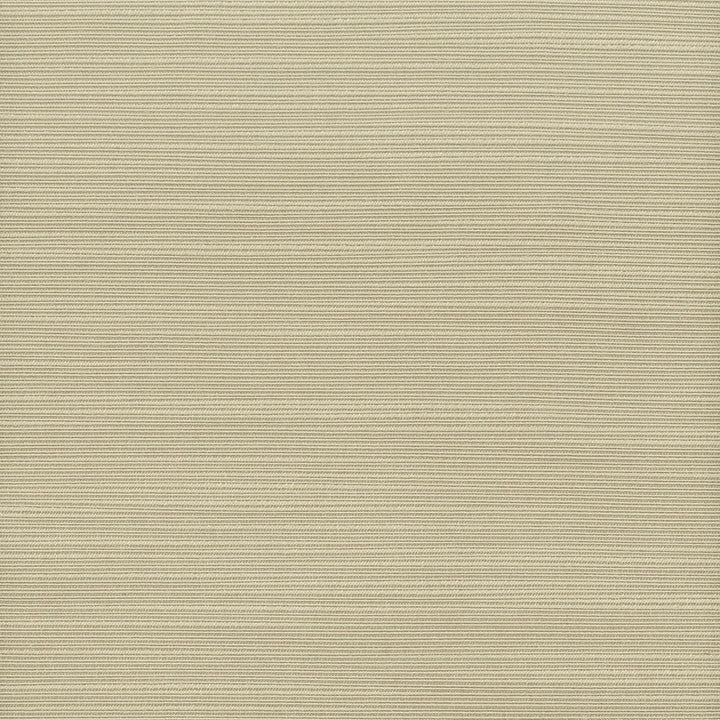 Admire 5 Hemp by Stout Fabric SATIN SPLENDOR 100%POL INDIA FLAME RETARDANT-N.F.P.A. 701 SMALL SCALE MARTINDALE WEAR TEST (15 000 CIRCULAR RUBS) Horizontal: 0 and Vertical: 0 55 in - Fabric Carolina -