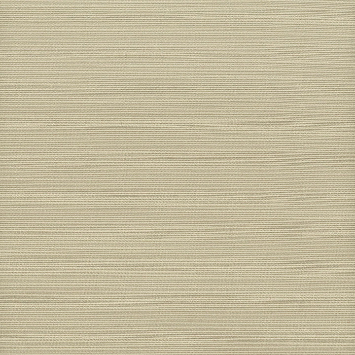 Admire 5 Hemp by Stout Fabric Stout Fabric Admire 5 HempFabric SATIN SPLENDOR 100%POL INDIA </p><p>Repeat: H: 0.000, V: 0.000 55 in - Fabric Carolina -