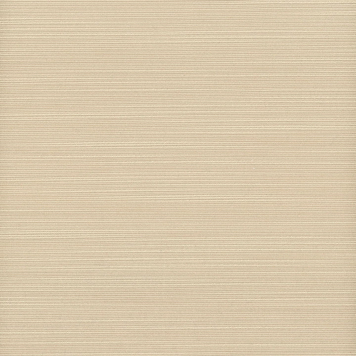 Admire 7 Sandstone by Stout Fabric Stout Fabric Admire 7 SandstoneFabric SATIN SPLENDOR 100%POL INDIA </p><p>Repeat: H: 0.000, V: 0.000 55 in - Fabric Carolina -