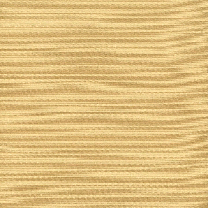 Admire 9 Topaz by Stout Fabric SATIN SPLENDOR 100%POL INDIA FLAME RETARDANT-N.F.P.A. 701 SMALL SCALE MARTINDALE WEAR TEST (15 000 CIRCULAR RUBS) Horizontal: 0 and Vertical: 0 55 in - Fabric Carolina -
