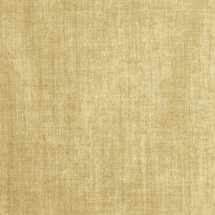 Admire 17J6381 by JF Fabric Admire 97% Polyester, 3% Linen China 200000 Horizontal: and Vertical: 55 - Fabric Carolina -