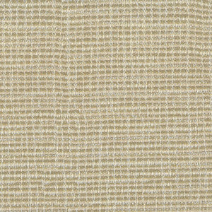 Adrenaline 3 Birch by Sunbrella Fabric