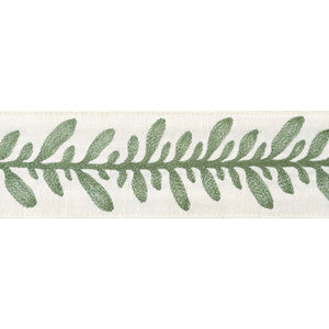 Calathea Tape Juniper AE12322 by Thibaut Trim