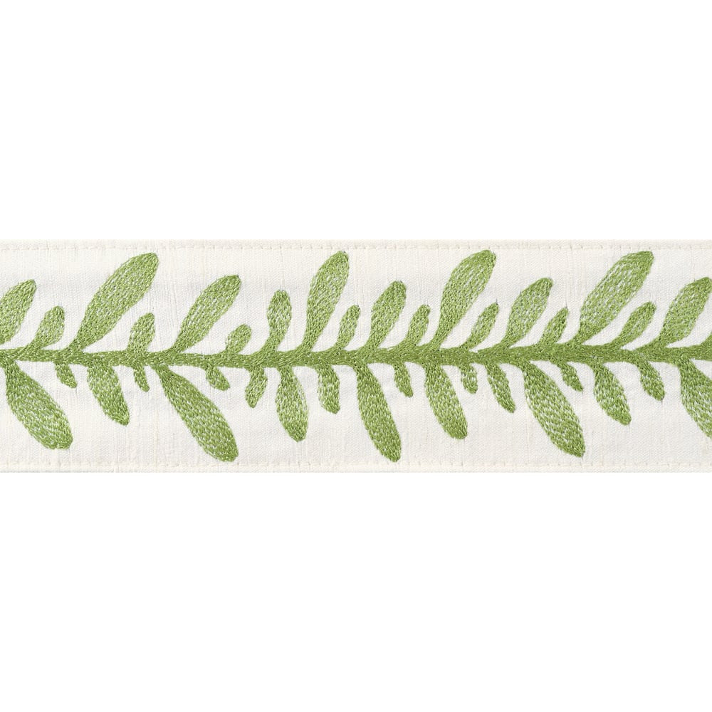 Calathea Tape Spring AE12323 by Thibaut Trim Thibaut Trim Calathea Tape Spring AE12323Trim ISLANDER 90% Silk, 10% Viscose U.S.A </p><p>Repeat: H: , V: 2.75 in  (6.99 cm) - Fabric Carolina -