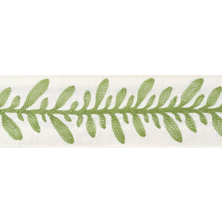 Calathea Tape Spring AE12323 by Thibaut Trim Thibaut Trim Calathea Tape Spring AE12323Trim ISLANDER 90% Silk, 10% Viscose U.S.A </p><p>Repeat: H: , V: 2.75 in  (6.99 cm) - Fabric Carolina -
