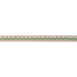 Bree Tape Willow and Soft Gold AE12371 by Thibaut Trim