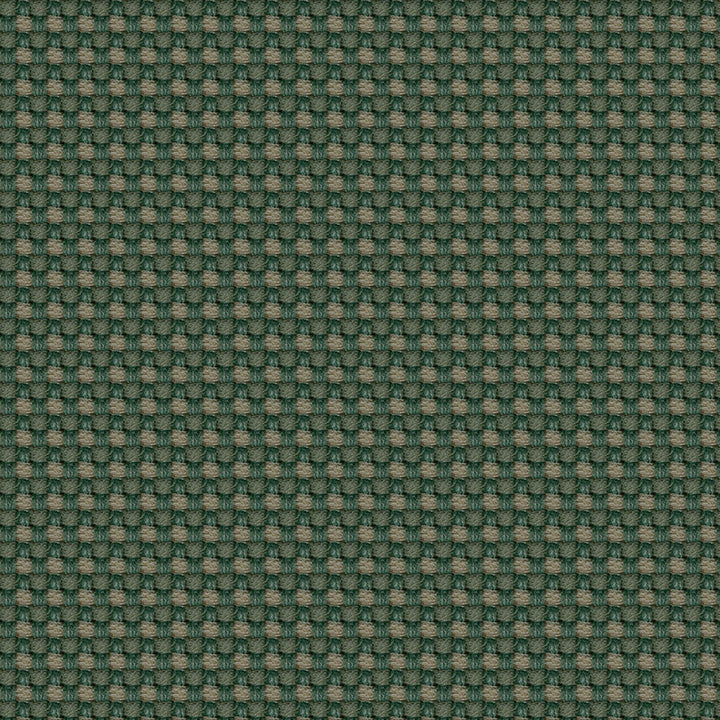 Aerotex 2008 Cactus by ABBEYSHEA Designer Fabric 100% Olefin Canada 175,000 Double Rubs (Wyzenbeek) </p><p>Repeat: Horizontal: 0.2" (0.5 cm) Up the Roll and Vertical: 0.1" (0.3 cm) Across the Roll 54" (137 cm) - Swanky Fabrics -