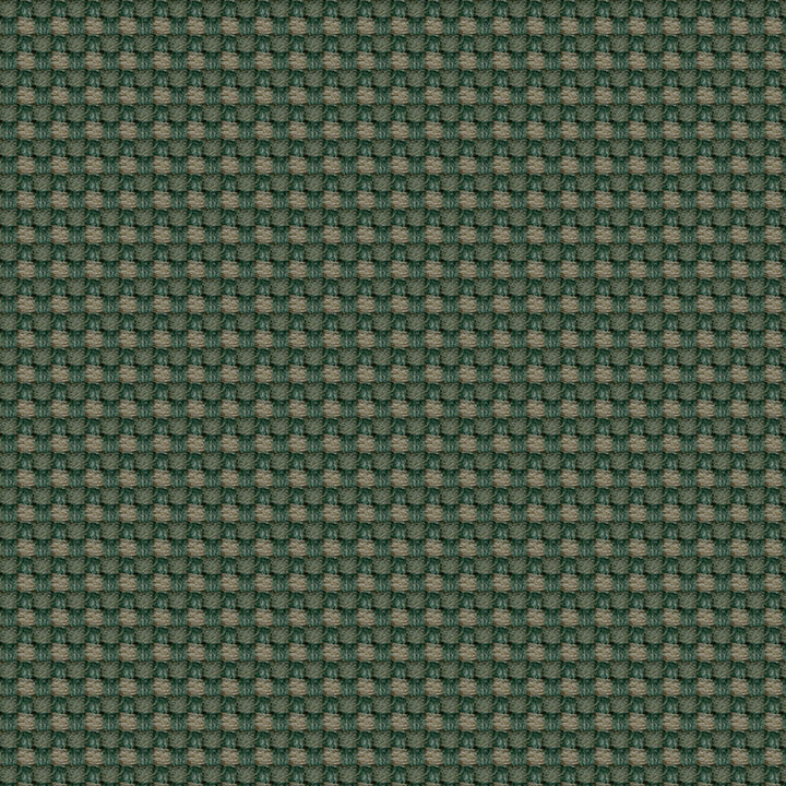 Aerotex 2008 Cactus by ABBEYSHEA Fabric N/A 100% Polyvinyl Chloride (PVC) China 30,000 Double Rubs </p><p>Repeat: Horizontal: and Vertical: 54" (137 cm) - Fabric Carolina -