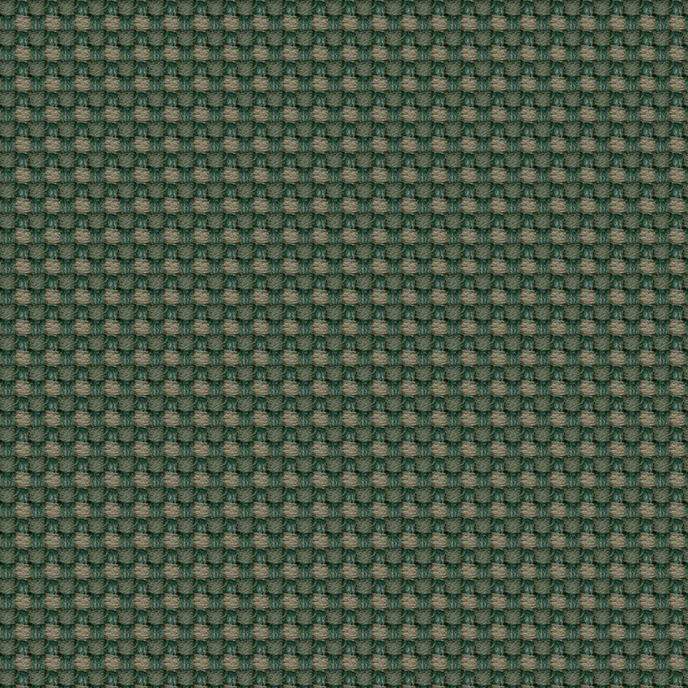 Aerotex 2008 Cactus by ABBEYSHEA Fabric N/A 100% Polyvinyl Chloride (PVC) China 30,000 Double Rubs </p><p>Repeat: Horizontal: and Vertical: 54" (137 cm) - Fabric Carolina -