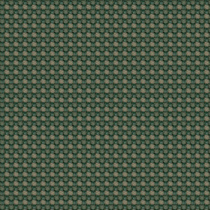 Aerotex 2008 Cactus by ABBEYSHEA Fabric