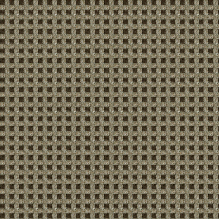 Aerotex 886 Tumbleweed by ABBEYSHEA Fabric 100% Olefin Canada 175,000 Double Rubs (Wyzenbeek) </p><p>Repeat: Horizontal: 0.2" (0.5 cm) Up the Roll and Vertical: 0.1" (0.3 cm) Across the Roll 54" (137 cm) - Fabric Carolina -