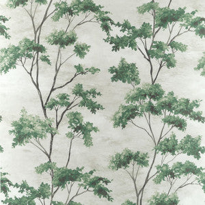 Dalton Green AF16169 by Thibaut Fabric