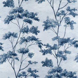 Dalton Blue and White AF16170 By Thibaut Fabric