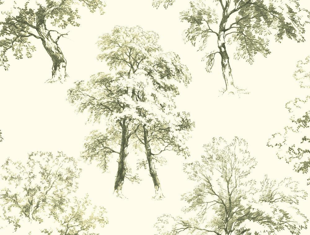 Deciduous Green & White Wallpaper by Ashford House Ashford Toiles Covers about 60.8 square feet 27-in by 27-ft long roll Prepasted 20.5 - Fabric Carolina -