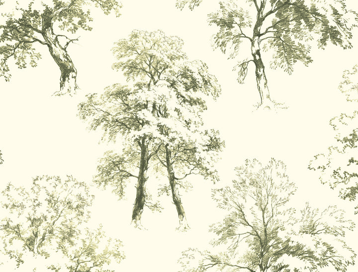 Deciduous Green & White Wallpaper by Ashford House Ashford Toiles Covers about 60.8 square feet 27-in by 27-ft long roll Prepasted 20.5 - Fabric Carolina -