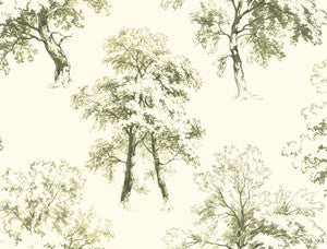 Deciduous Green & White Wallpaper by Ashford House