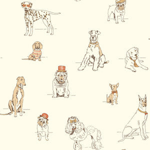 Dog's Life Orange & Gold Metallic Wallpaper by Ashford House