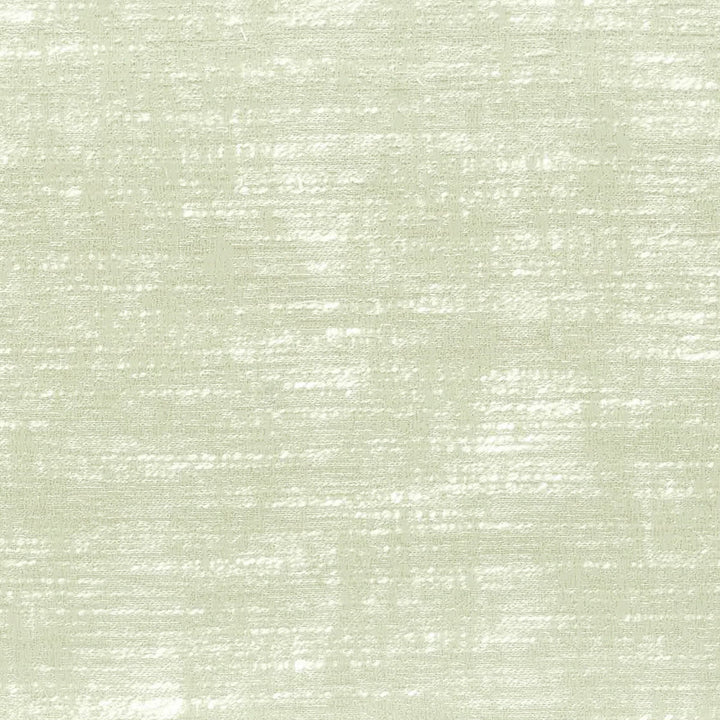 Affection 1 Mushroom by Stout Designer Fabric COLOR MY WINDOW BIRCH/LINEN 60%POL 40%COT INDIA WYZENBEEK 25 000 DOUBLE RUB WEAR TEST (HEAVY DUTY) Horizontal: 0.000 and Vertical: 0.000 54 in - Swanky Fabrics -