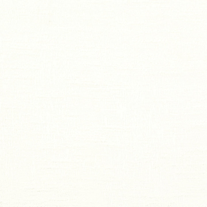 Affection 4 Chalk by Stout Fabric COLOR MY WINDOW NEUTRAL/MICA 60%POL 40%COT INDIA Horizontal: 0 and Vertical: 0 54 in - Fabric Carolina -