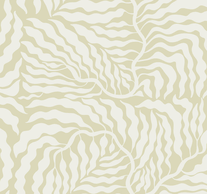 Fern Fronds Light Green & White Wallpaper by York Wallcoverings Artistic Abstracts Covers about 60.8 square feet 27-in by 27-ft long roll Unpasted 25.25 - Fabric Carolina -