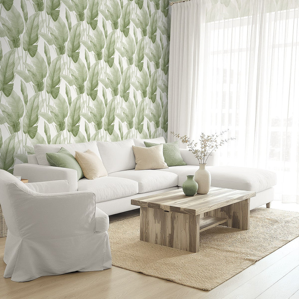 Mantra Matcha AG60004 by Seabrook Designs Designer Wallpaper