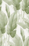 Mantra Matcha AG60004 by Seabrook Designs Wallpaper