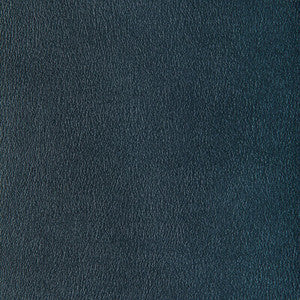 Agatha Mercury AGATHA.15.0 by Kravet Contract Fabric