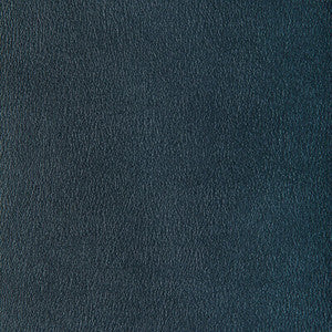 Agatha Mercury AGATHA.15.0 by Kravet Contract Fabric