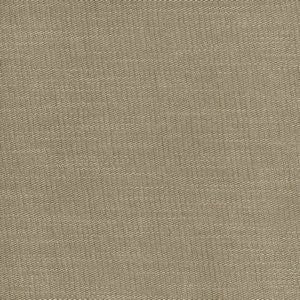 Agra Putty 205 by Norbar Fabric AGRA 100% POLYESTER 50,000 WYZENBEEK </p><p>Repeat: 55" - Fabric Carolina -