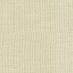 Agra White 001 by Norbar Fabric See Sample 100% POLYESTER 50,000 WYZENBEEK 55" - Fabric Carolina -
