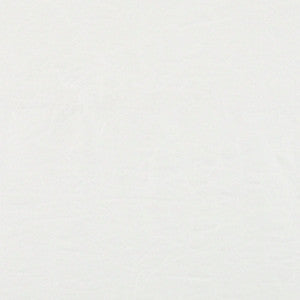 Arctic Glaze # 002 Snow by Maxwell Fabric