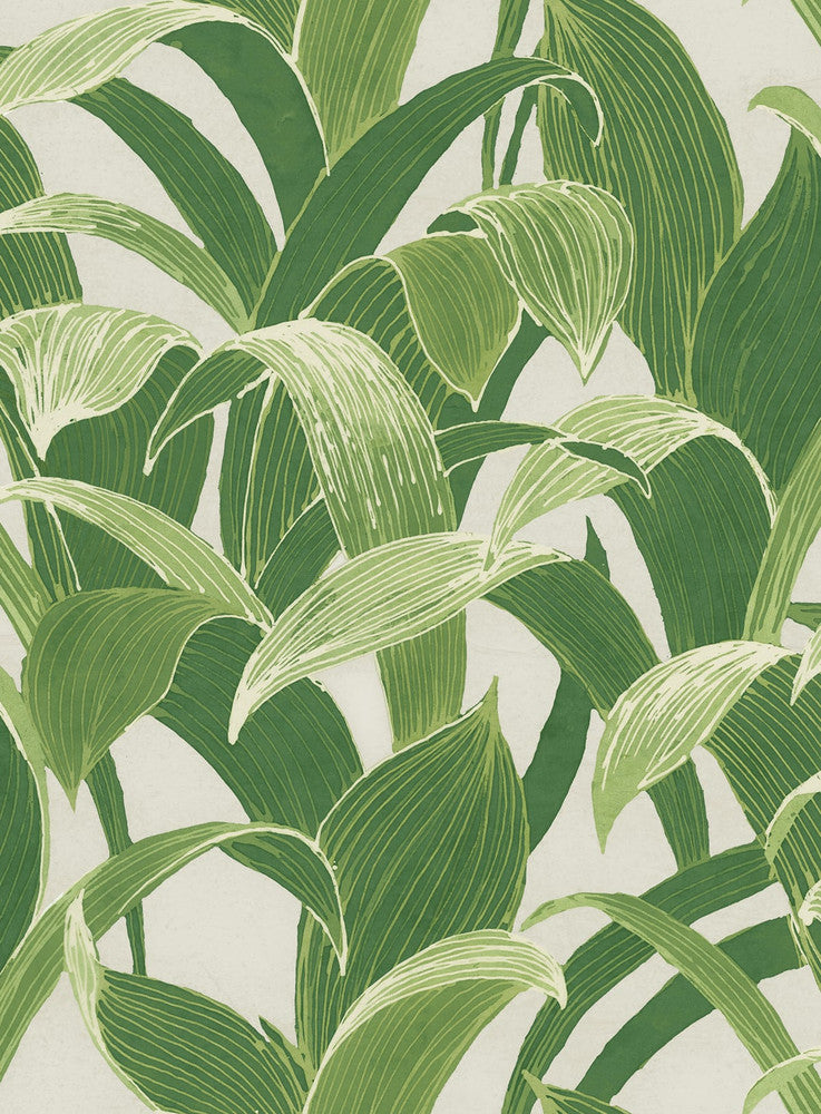 Imperial Banana Groves Metallic Pearl and Forest Green by Seabrook Wallpaper Koi United States 56.05 27.8" 20.5" - Fabric Carolina -