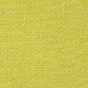 Atlantic City # 3 Wasabi by Maxwell Fabric