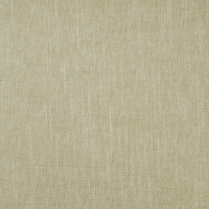 Absolute # 069 Driftwood by Maxwell Fabric