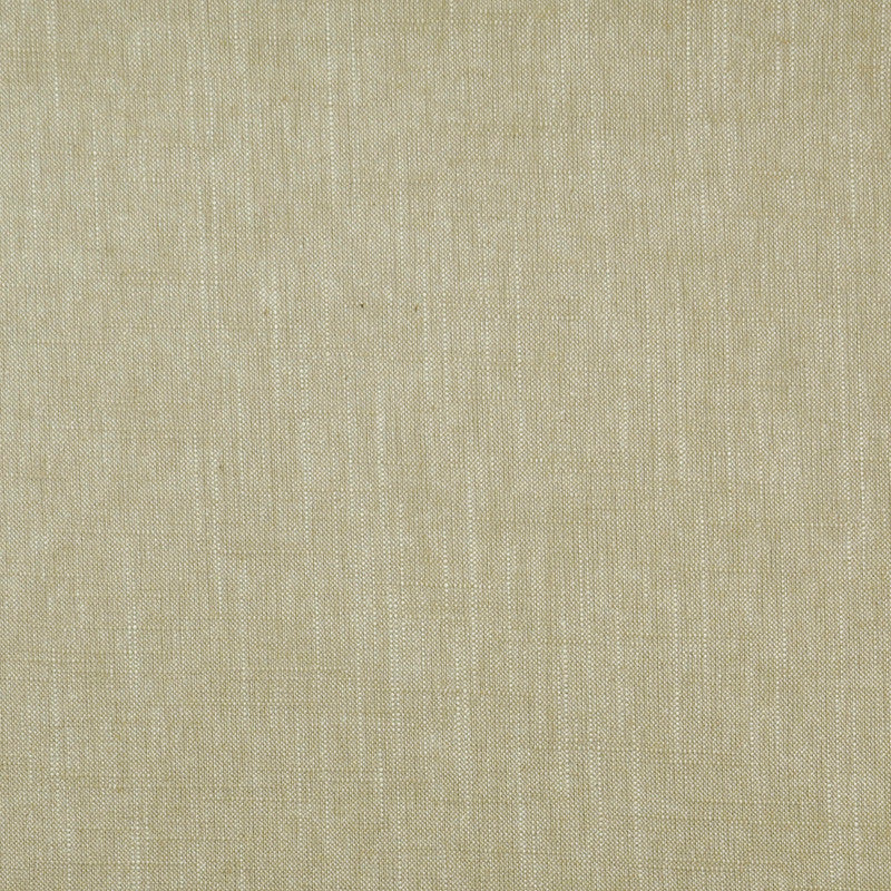 Absolute # 069 Driftwood by Maxwell Fabric PURE & SIMPLE 55% LINEN 45% VISCOSE RAYON CHINA DRY CLEAN RECOMMENDED
MAXGUARD </p><p>Repeat: Horizontal: and Vertical: 55" - Fabric Carolina -